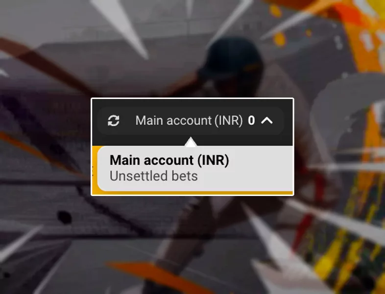 Check bonus balance
