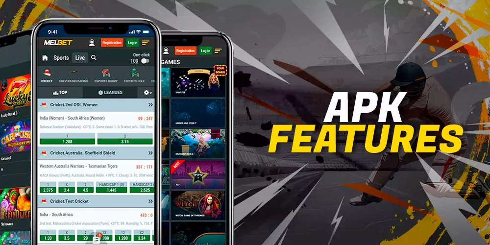 Functions of the mobile application